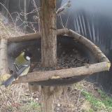 photo 2019-03-13 14-11-43