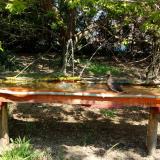 photo 2021-04-24 12-22-27