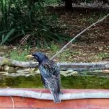 photo 2021-05-22 19-20-36 seregely