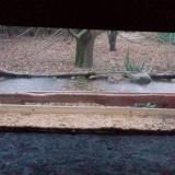 photo 2021-12-09 07-40-09