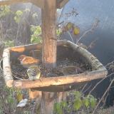 photo 2019-12-11 08-02-02