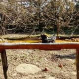 photo 2021-03-13 09-20-04