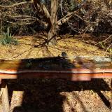 photo 2021-10-24 12-04-13