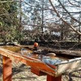 photo 2022-03-14 09-13-55