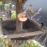 photo 2019-12-04 14-24-29