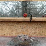 photo 2022-01-16 12-09-48