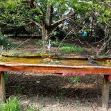 photo 2021-04-22 16-09-01