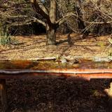 photo 2021-10-27 14-09-32