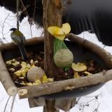 photo 2019-01-12 12-27-18