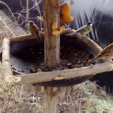 photo 2019-02-08 09-40-45