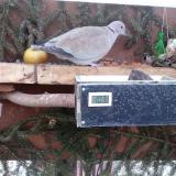 photo 2021-02-14 07-00-20