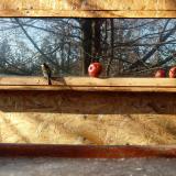 photo 2022-01-15 11-40-39