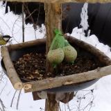 photo 2019-01-09 13-24-20