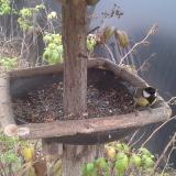 photo 2019-12-07 13-58-12