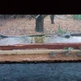 photo 2021-11-28 15-17-37