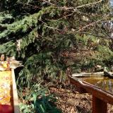 photo 2021-11-12 11-46-52