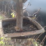 photo 2019-12-25 09-30-51