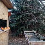 photo 2021-12-22 09-29-00