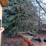 photo 2021-12-17 08-53-06