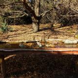 photo 2021-10-25 14-26-36