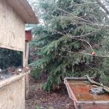 photo 2021-12-30 13-39-15