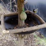 photo 2019-02-08 14-57-20