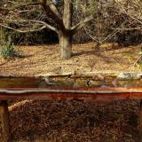 photo 2021-10-26 14-32-16