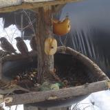 photo 2019-01-29 12-54-56