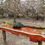 photo 2021-03-22 12-02-47