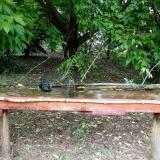 photo 2021-05-24 13-16-55