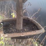 photo 2019-12-25 10-32-50