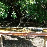 photo 2021-09-08 09-45-18