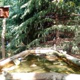 photo 2023-10-11 12-45-33