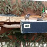 photo 2021-02-16 09-55-59