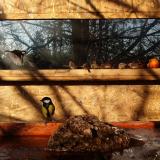 photo 2022-01-24 09-14-15