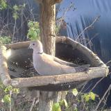 photo 2019-12-16 14-21-53