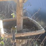 photo 2019-12-26 10-46-52