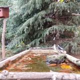 photo 2023-10-15 16-24-10