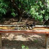 photo 2021-07-14 10-42-28