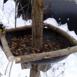 photo 2019-01-08 08-50-54