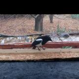 photo 2021-11-22 09-53-18