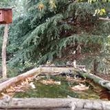 photo 2023-10-04 09-30-25