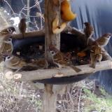 photo 2019-02-02 10-58-29