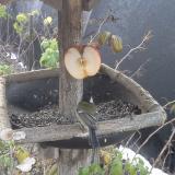 photo 2019-12-03 07-27-17