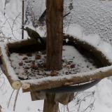 photo 2019-01-08 13-44-45