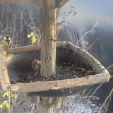 photo 2019-12-26 14-17-21