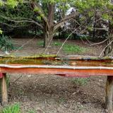 photo 2021-04-17 09-23-07