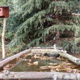 photo 2023-10-17 15-48-30