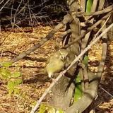 photo 2021-10-27 14-09-22 fuzike