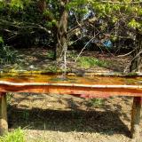 photo 2021-04-21 10-59-43